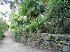 130 Ile de Batz Jardin Georges Delaselle_000023